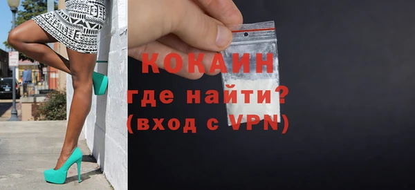 дживик Бронницы