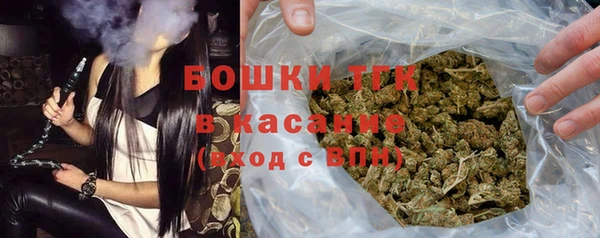 дживик Бронницы