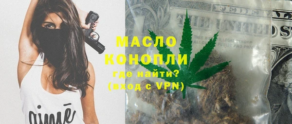 прущий лед Богданович