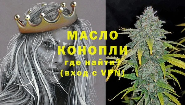 дживик Бронницы