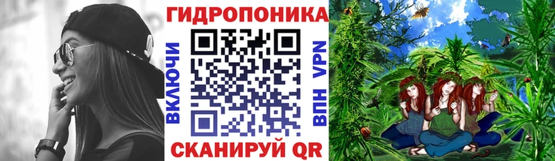 MEGA зеркало  Зуевка  Конопля OG Kush  закладки 